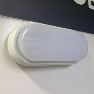 Ohio IP54 LED Wall & Ceiling Lights - Oval