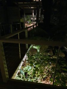 Garden lighting highlighting plants beneath deck